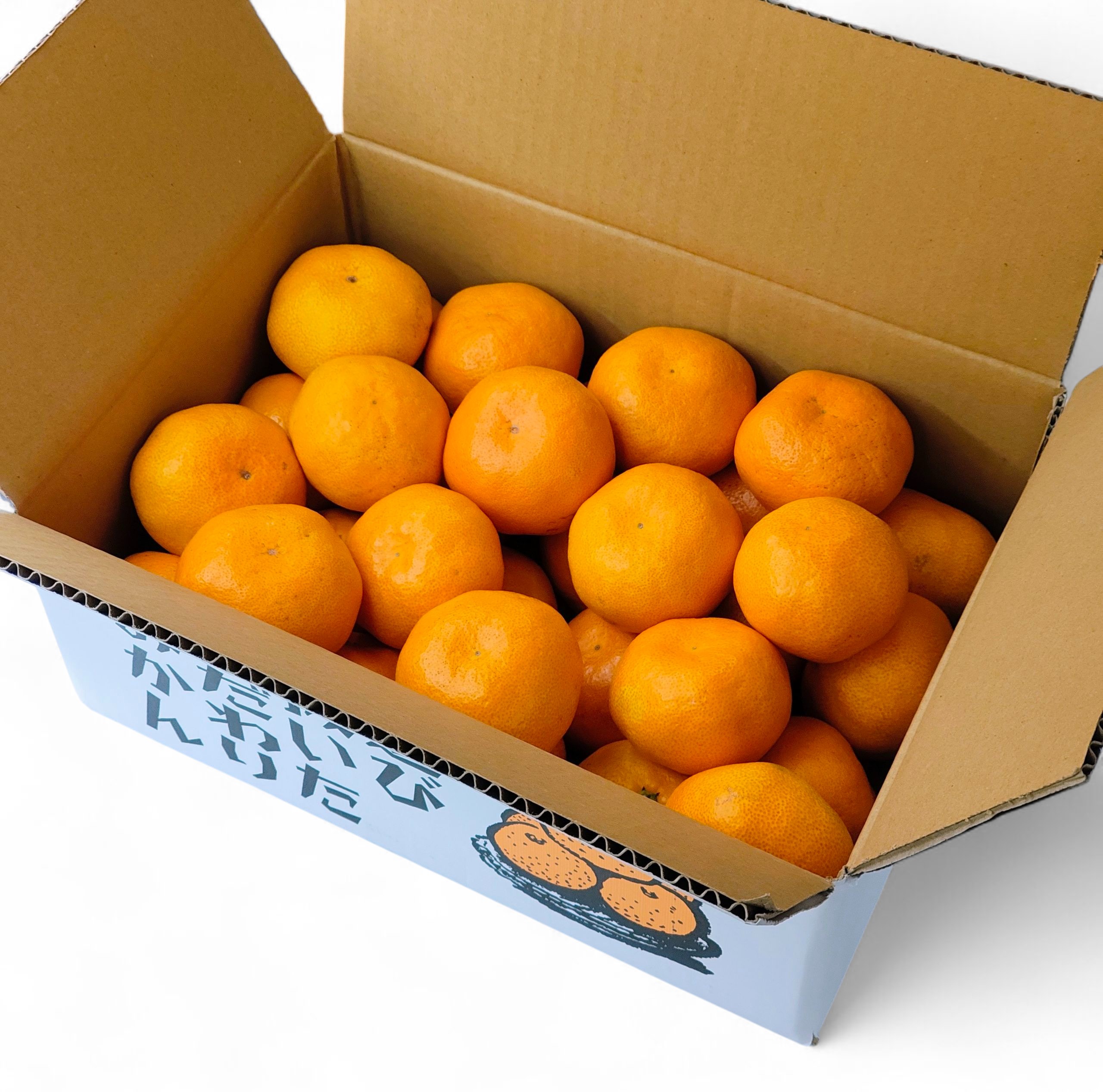 愛媛県産早生みかん 2Lサイズ5k箱入り【送料込み】