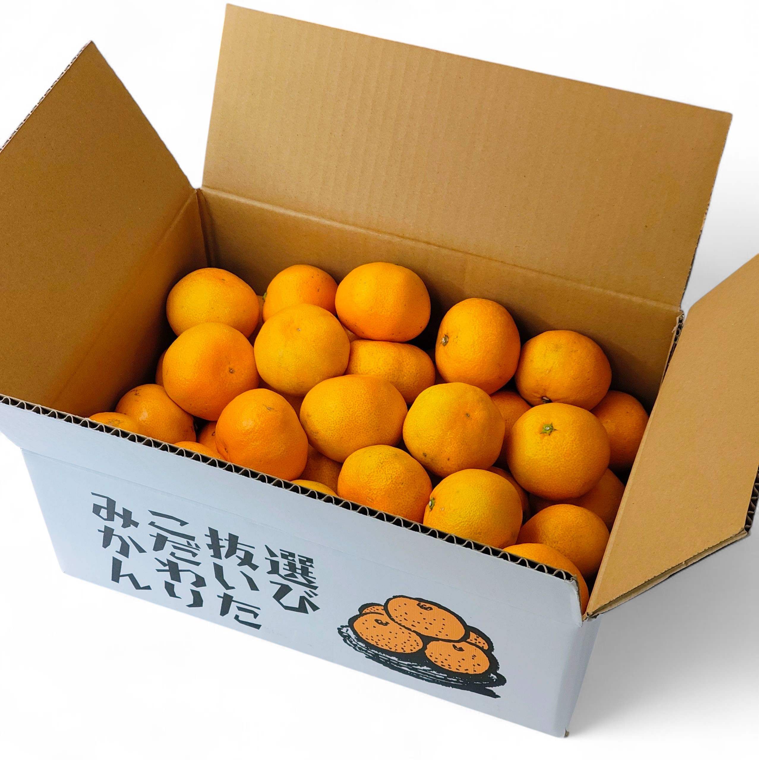 愛媛県産早生みかん Lサイズ5k箱入り【送料込み】